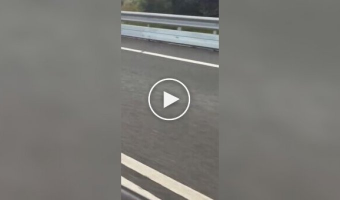 Лежачий полицейский в Австралии