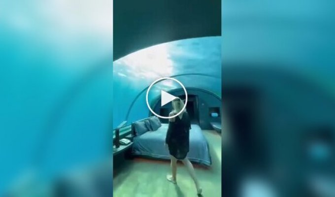 Номер отеля с видом на подводный мир