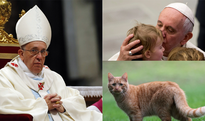 Имеете домашнее животное? Вы эгоист: версия Папы Римского (8 фото)