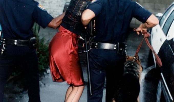 Sharon Stone взяли за проституцию (9 фото)