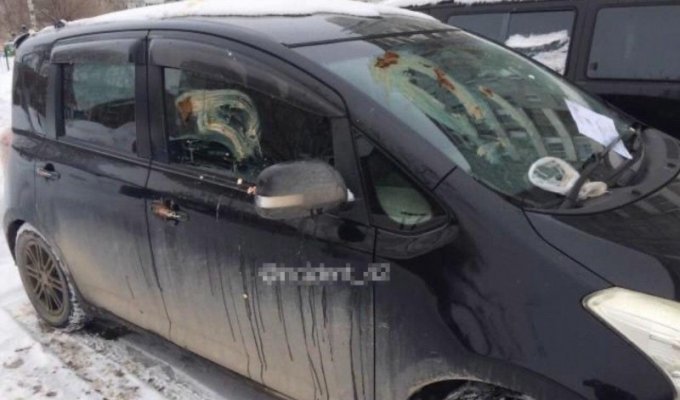 Фекальный мститель: в Кемерове автомобилиста наказали за занятое парковочное место (3 фото)