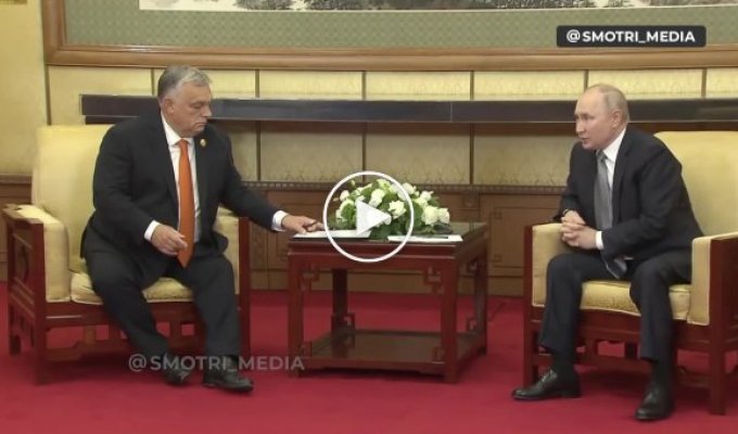Ничего нового: путин встретился с Орбаном в Китае