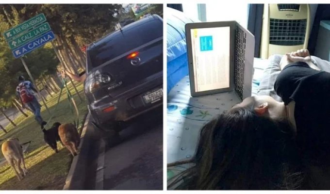 20 Hilarious Examples of When Laziness Won Out (21 photos)