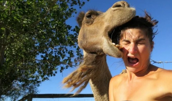 20 Photos Taken Seconds Before the Inevitable (22 photos)