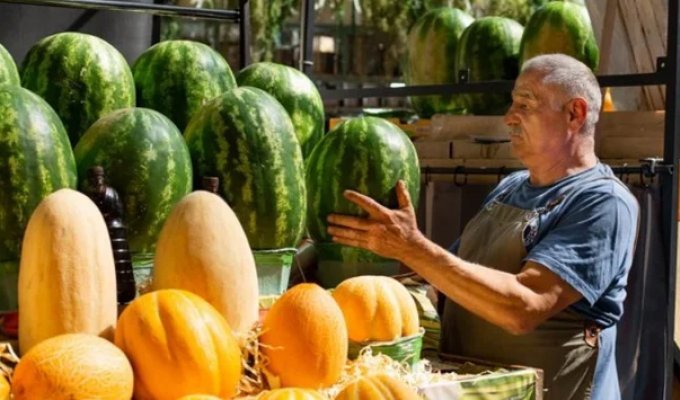 What's Healthier: Watermelon or Cantaloupe (3 photos)