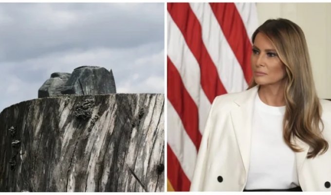 В Словении украли статую Мелании Трамп (4 фото)
