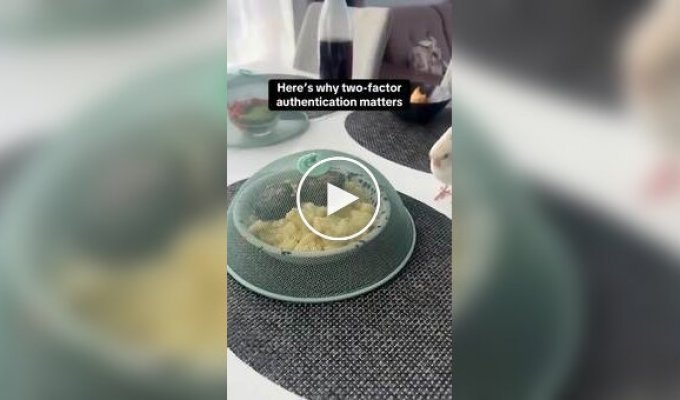 Хозяин перехитрил попугая