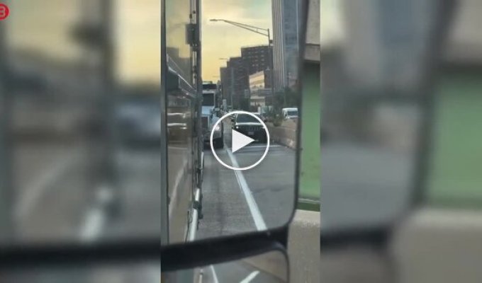 Хотел всех налюбить, но просчитался