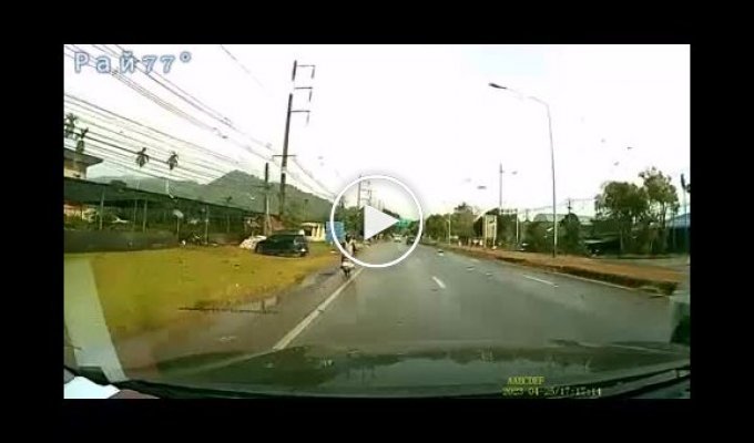 Неуправляемый пикап застал врасплох автомобилиста в Таиланде
