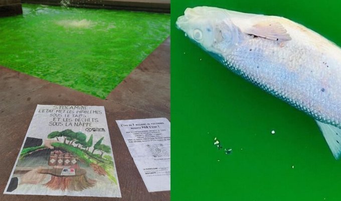 Екоактивізм та відвага: у Франції захисники природи провели акцію, після якої у річці загинула риба (6 фото)