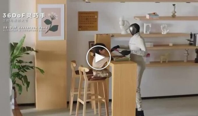 The Chinese have created a robot that replaces a nanny, courier, and housekeeper