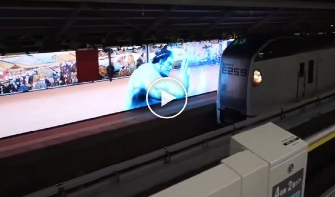 Борец сумо остановил поезд, чтобы спасти кота