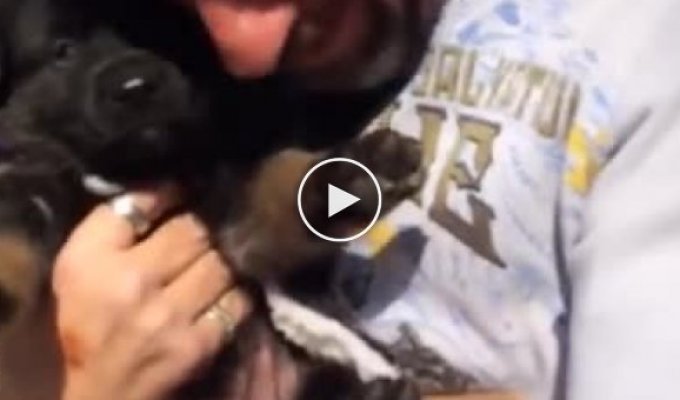 Дочь подарила маленького щенка для отца, который в прошлом потерял верного пса