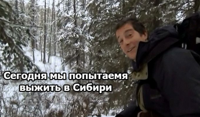 Беар Гриллc попытался выжить в Сибири (1 гифка)