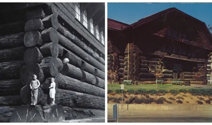 The world's largest log cabin and its inglorious end (15 photos)