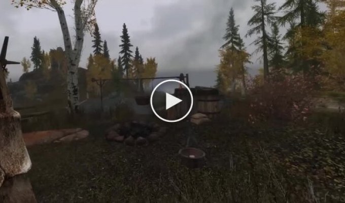 Парень провел рабочий день внутри игры TES V: Skyrim