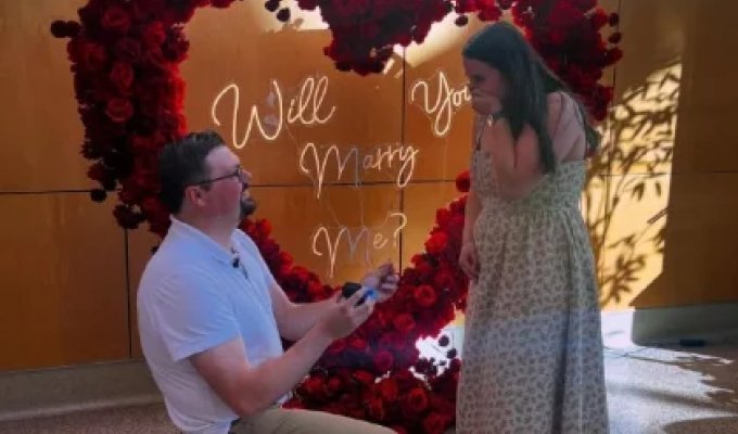 Трогательная история из Миннесоты (4 фото)