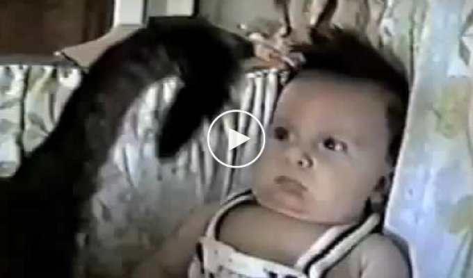 Кот гипнотизирует малыша