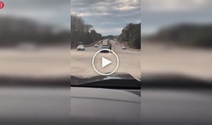 A chase with spikes resulted in damage to a power line