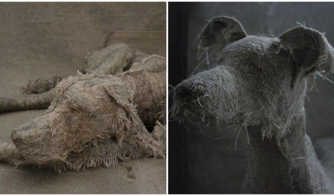 Художница мастерит трогательные скульптуры собак из старых тряпок (18 фото)