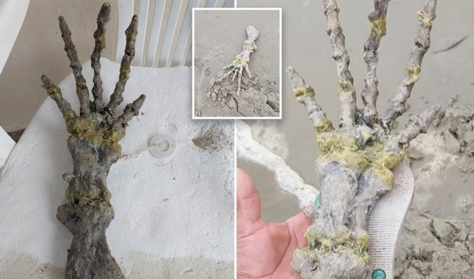 A couple found the hand of an "alien" on a Brazilian beach (7 photos + 1 video)