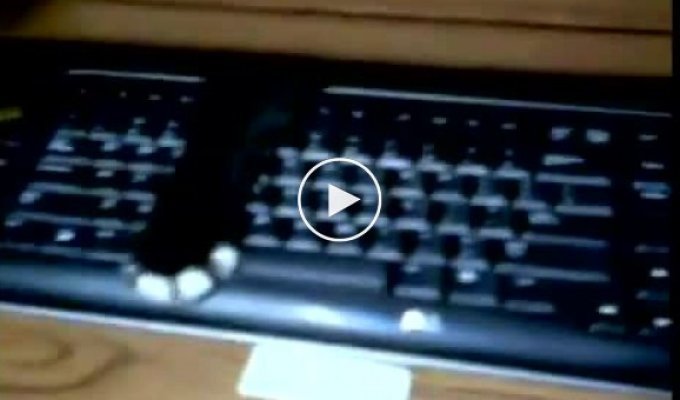 Сигнализация на клавиатуру