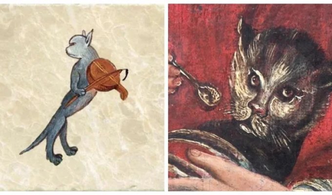 25 medieval images of cats that were created based on rumors and stories (26 photos)