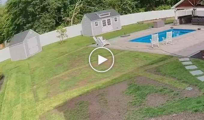 A wild turkey smashed through a plastic fence at high speed while trying to escape