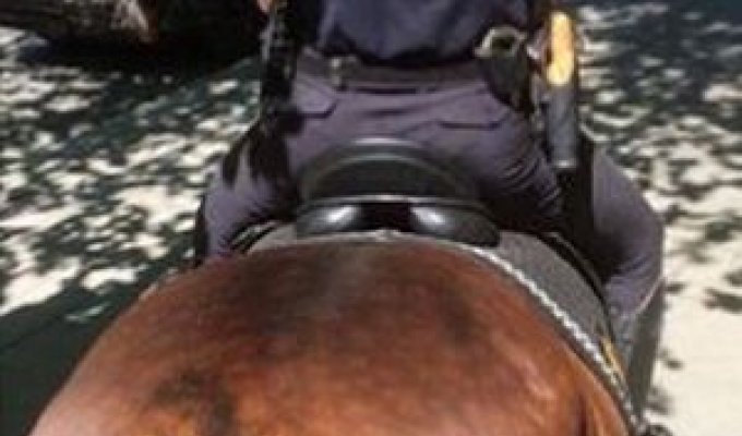 Основное оружие конной полиции (2 фото)