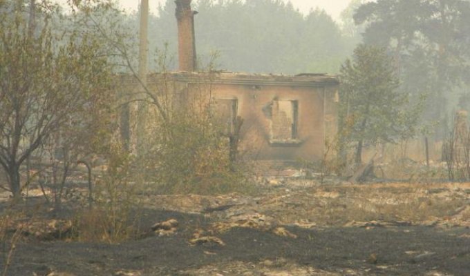 Последствия лесного пожара (39 фотографий)