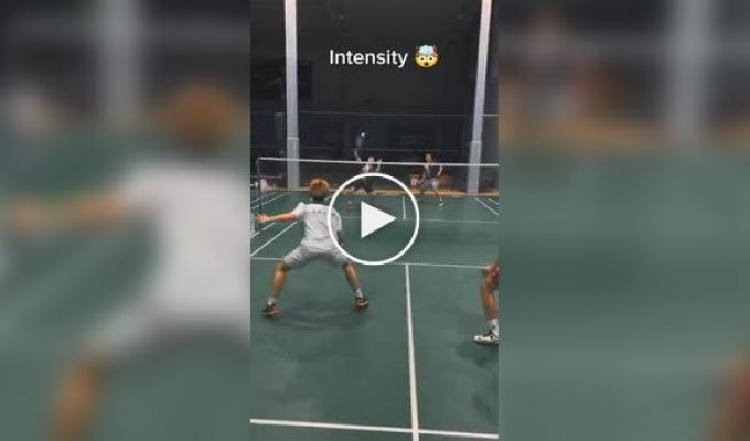 Professional badminton and training