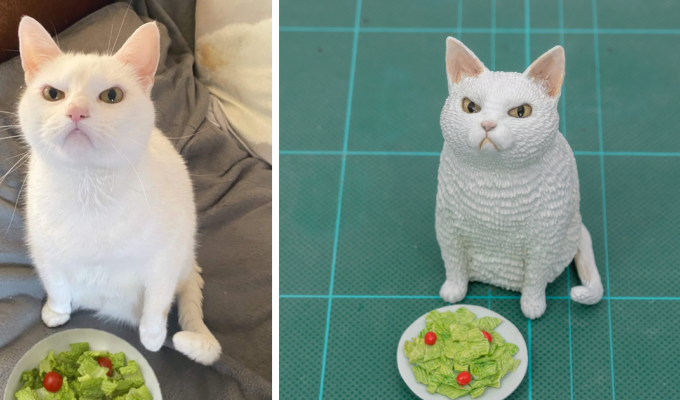 Японец превращает легендарные мемы с животными в забавные фигурки (41 фото)