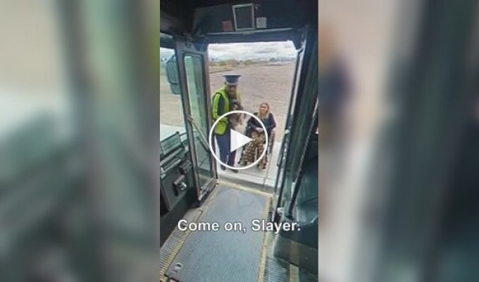 Kindness will save the world: a kind bus driver