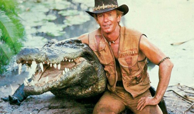 Дивовижна кар'єра Крокодила Данді, знайденого на шоу талантів (9 фото)