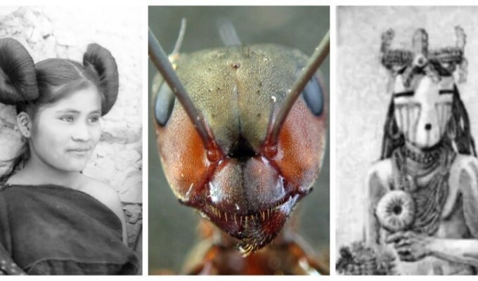 Подземная цивилизация людей-муравьёв: порождение фантазий или реальность? (9 фото)