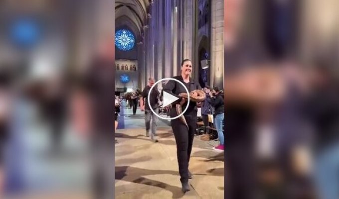 Blessing of the animals on the Feast of St. Francis of Assisi