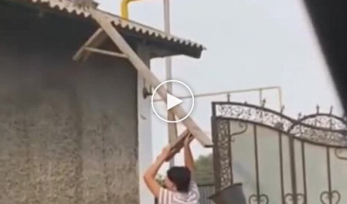 Спасение котенка с крыши