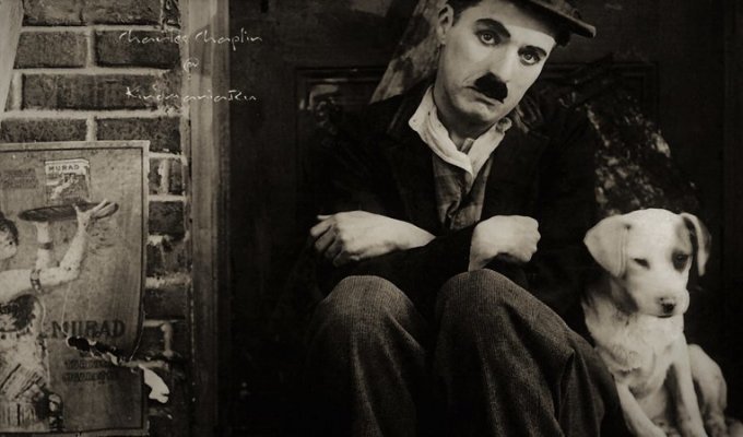 Последняя гастроль «Бродяги». Как Чарли Чаплина похитили после смерти (8 фото)
