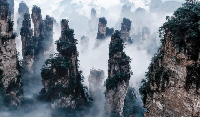 Удивительные горы Улинъюань, вдохновившие Джеймса Кэмерона на создание «Аватара» (20 фото)