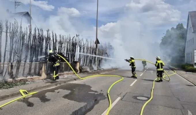 Соседи хотели барбекю и чуть не спалили улицу (4 фото)