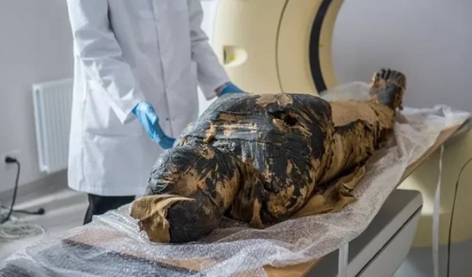 The results were shocking: the secret of the most unusual Egyptian mummy was revealed (5 photos)