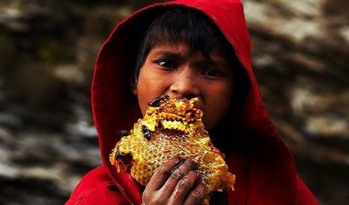 Как добывают сладкое золото Непала (10 фото)
