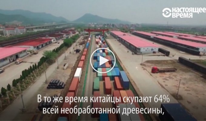 Минутное видео о том, почему Россию сложно назвать равноправным экономическим партнёром Китая