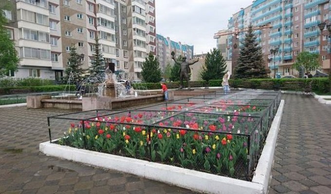 Антивандальные клумбы Красноярска (2 фото)