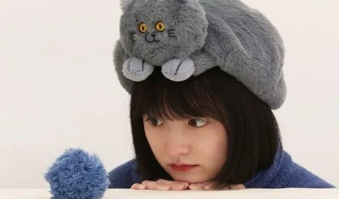 Утепляемся: забавные шапки в форме котов стали хитом на маркетплейсах (6 фото)