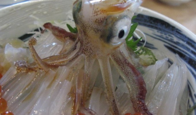 Непривычная японская кухня: слабонервным не смотреть! (12 фото)