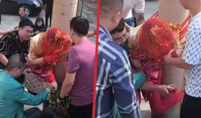 Such are our traditions: the groom tied his beloved to a pole (2 photos + 1 video)