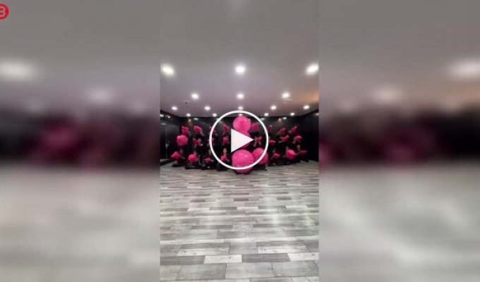 It's not just a dance: Indian performers with umbrellas put on a hypnotic show