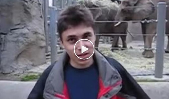 April 24th - the day YouTube began: the first video uploaded to the platform