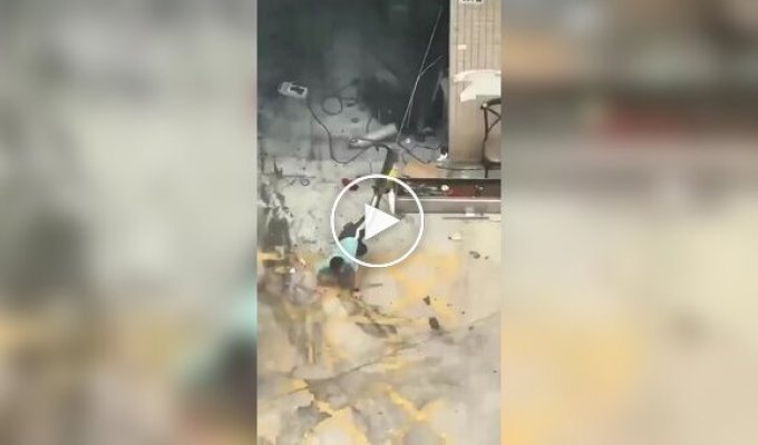 Страшнее кошки зверя нет